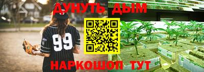 гашиш Гатчина