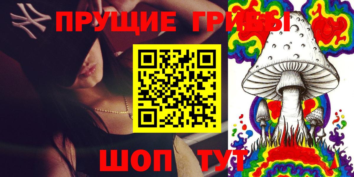 Галлюциногенные грибы ЛСД  Вход с VPN  Заречный  Галлюциногенные грибы мухоморы 