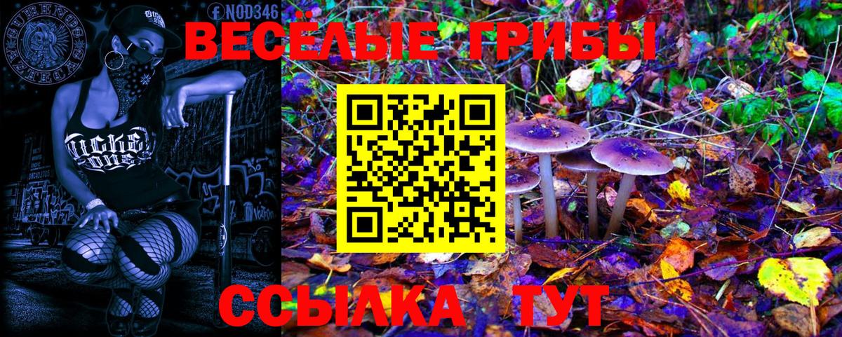 Псилоцибиновые грибы мицелий Заречный